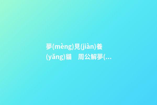 夢(mèng)見(jiàn)養(yǎng)貓　周公解夢(mèng)之夢(mèng)到養(yǎng)貓